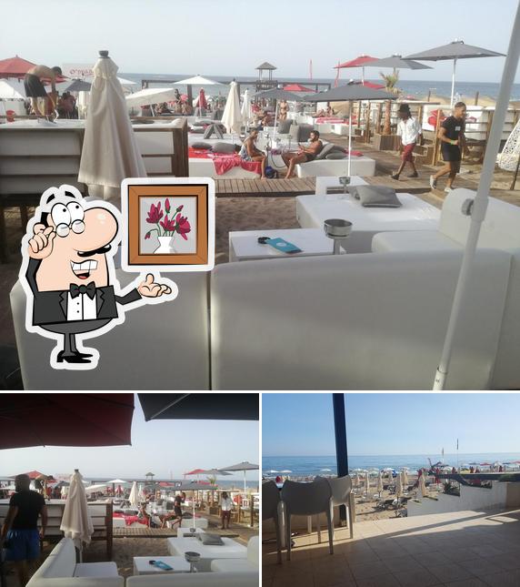 Marine Club