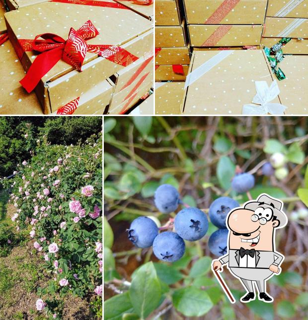 Puoi goderti l'aria fresca dal dehors di Agriturismo Cascina Coldognetta