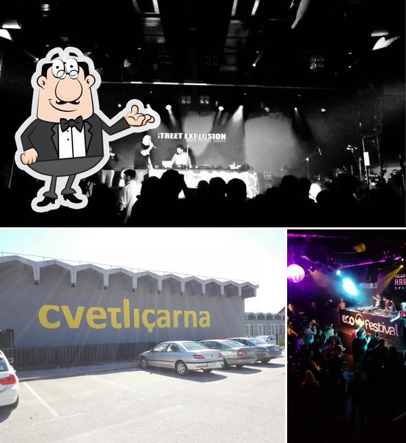 Gli interni di Club Cvetlicarna