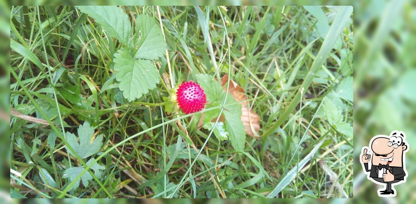 Ming Kee Takeaway, Inhaber Lai