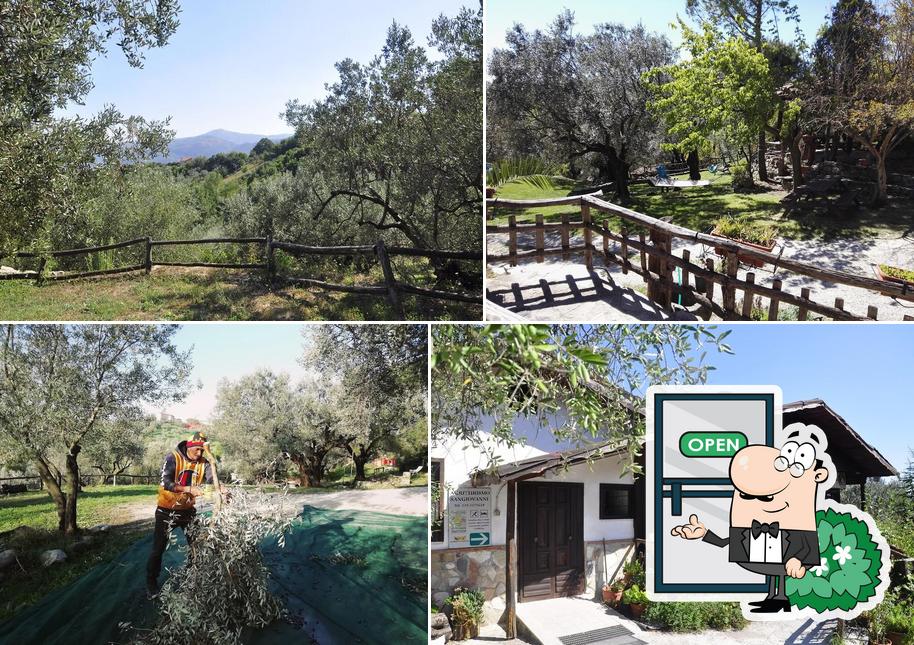 Azienda Agrituristica/Agricola Sangiovanni