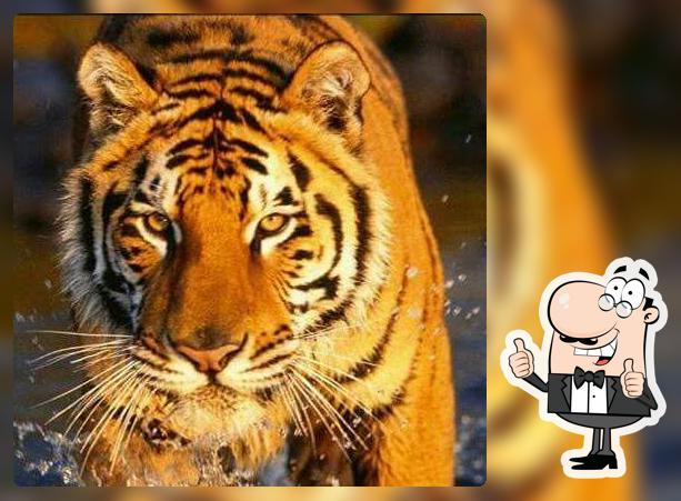 MILITARY HOTEL SAVJI