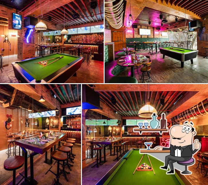 Check out how Funny Cat Pune looks inside