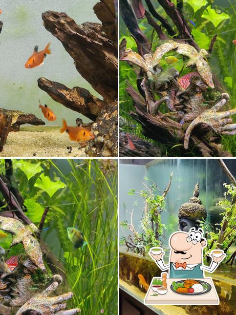 Meals at Golden Pavilion Fine Dine Restaurant