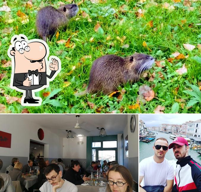 Guarda la immagine di Gixi