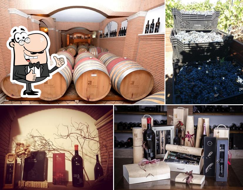 Guarda questa immagine di La Luna del Casale Azienda Agricola Biologica