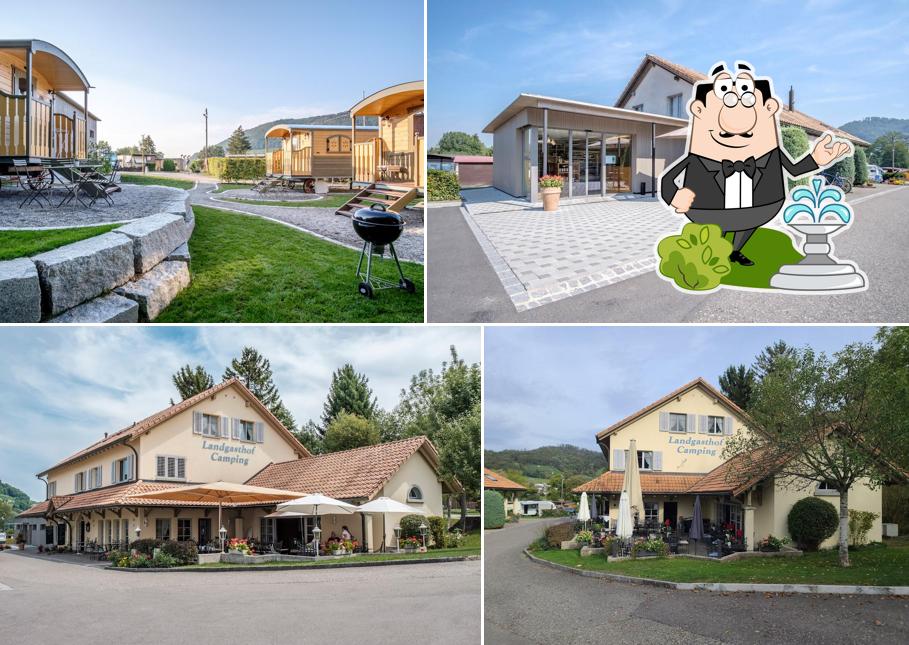 Curiosa tra l'area esterna di Camping Wagenhausen