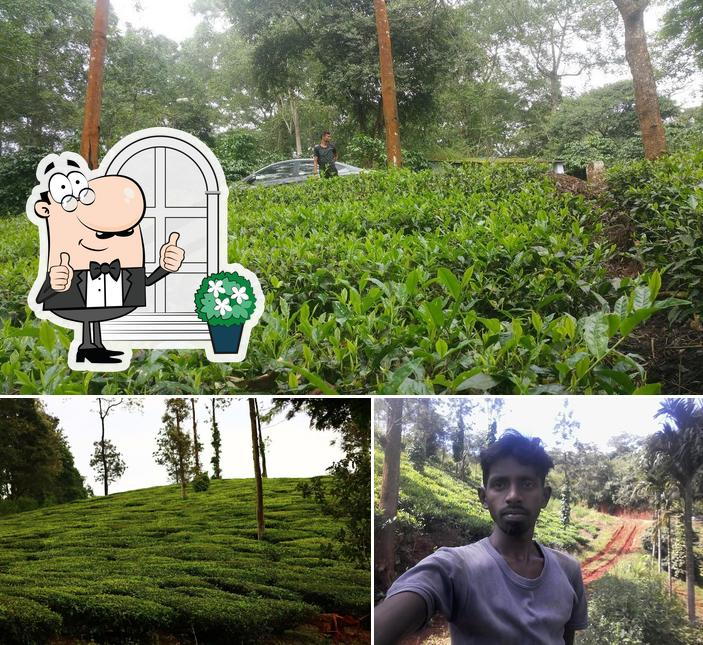 Nani Tea Stall