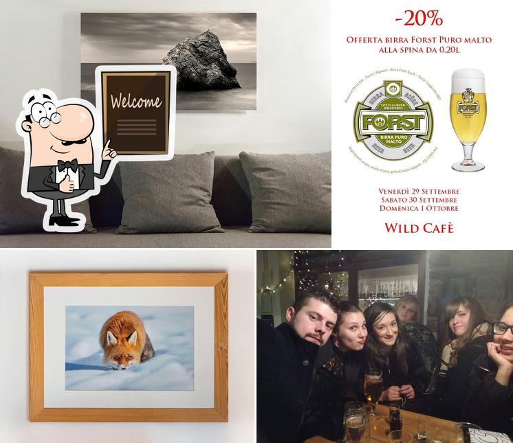 Ecco una foto di Wild Cafè