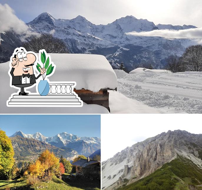 Guarda gli esterni di Sulwald Stübli