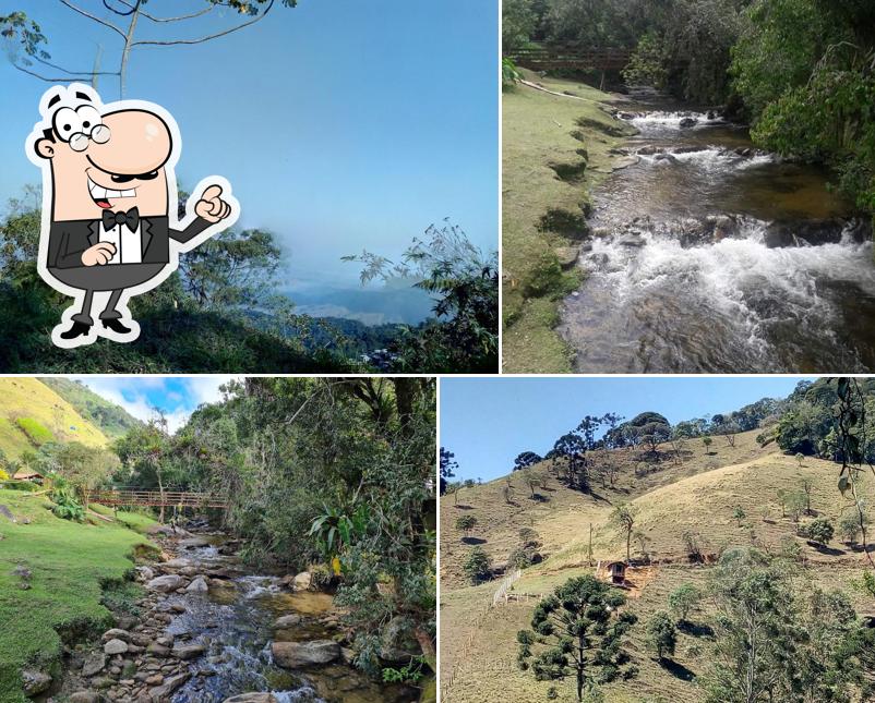Truta da Floresta