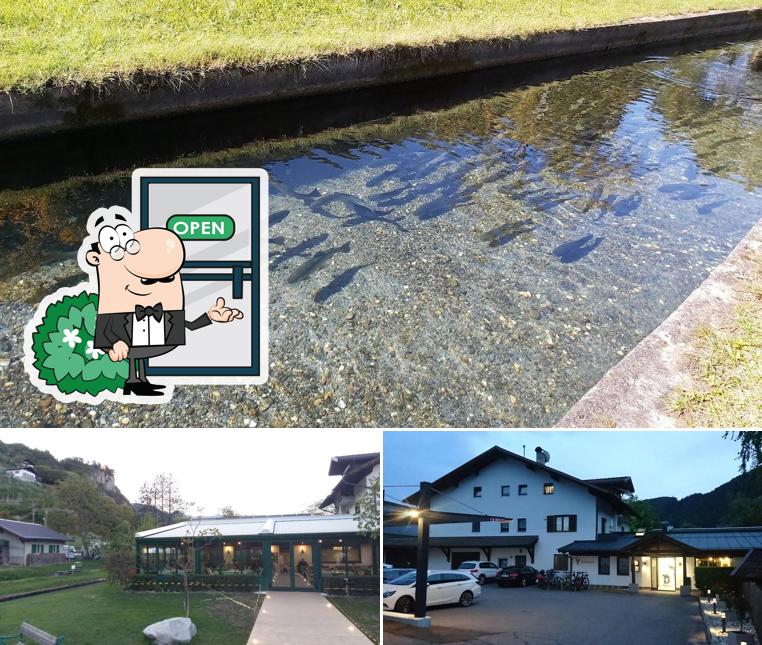 Guarda gli esterni di Restaurant Krebsbach, Lana