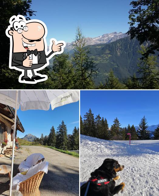 Guarda la foto di Temeley