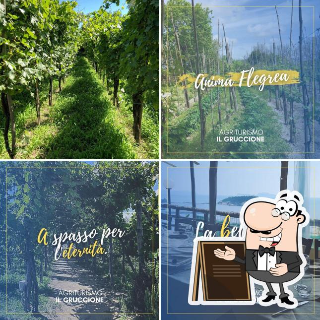 Agriturismo Il Gruccione