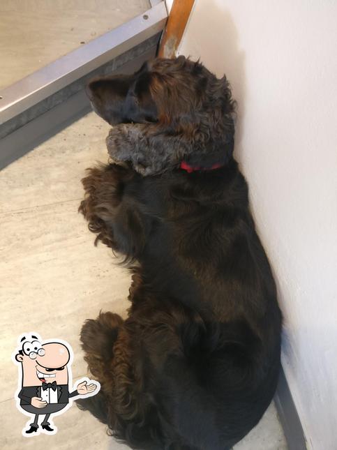 Vedi questa foto di Bar da Mara