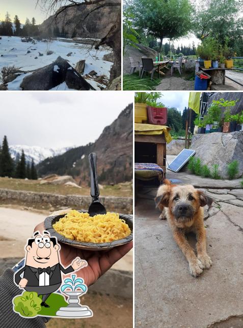 You can get some fresh air at the outside area of Panduropa cafe