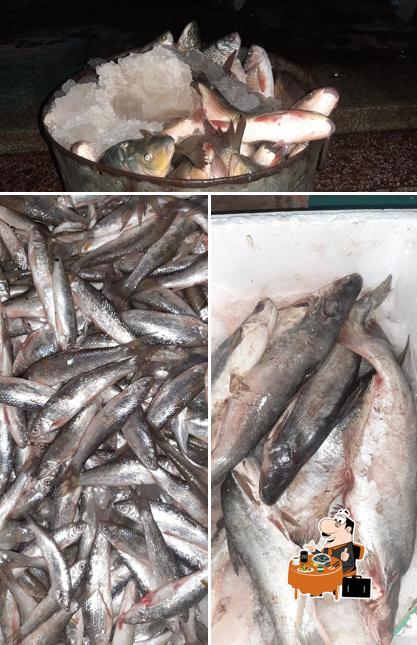 Mussels at WHOLESALE FISH MARKET(TOP IN GWALIOR)