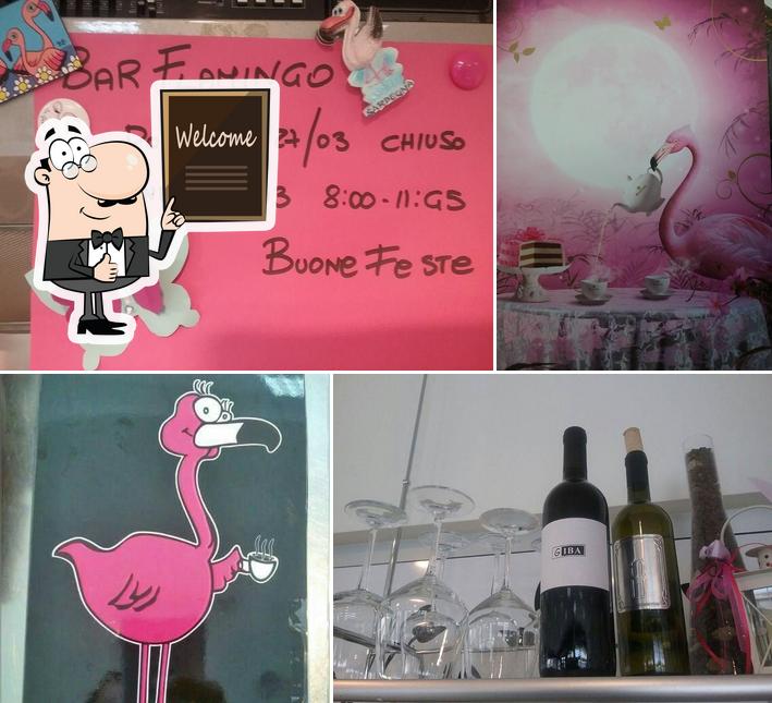 Bar flamingo assemini