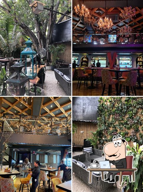 Check out how Riches’ looks inside