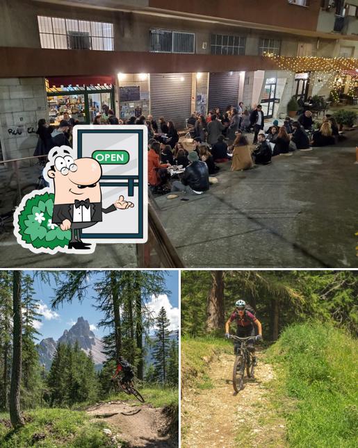Guarda gli esterni di sottobosco