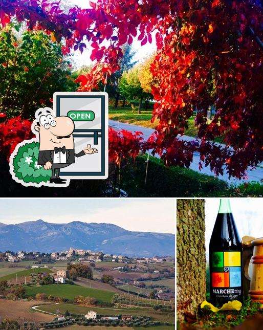 Tra le diverse cose da Asd Monte Leone Sporting Club House Inn si possono trovare la esterno e birra