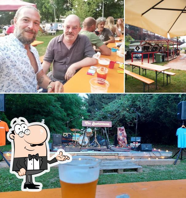 Dai un'occhiata agli interni di MOLO 517