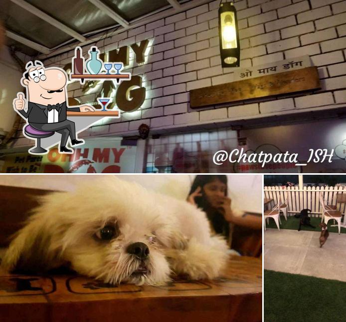 Take a seat at one of the tables at Ohh My Dog & Pefe