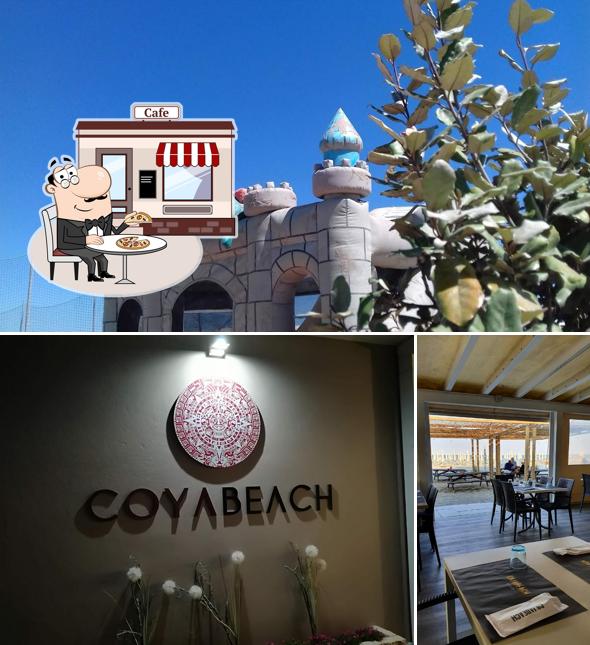 Goditi la vista dall'area esterna di Coja Beach