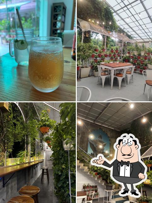 Check out how The Greenhouse Cafe looks inside