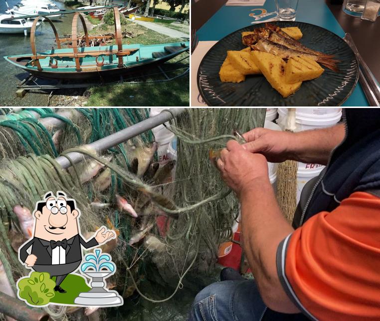 Tra le varie cose da Da Ceko Il Pescatore si possono trovare la esterno e cibo