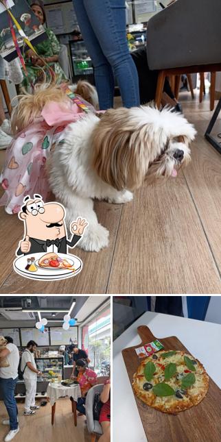 Pick pizza at Puppychef at zigly