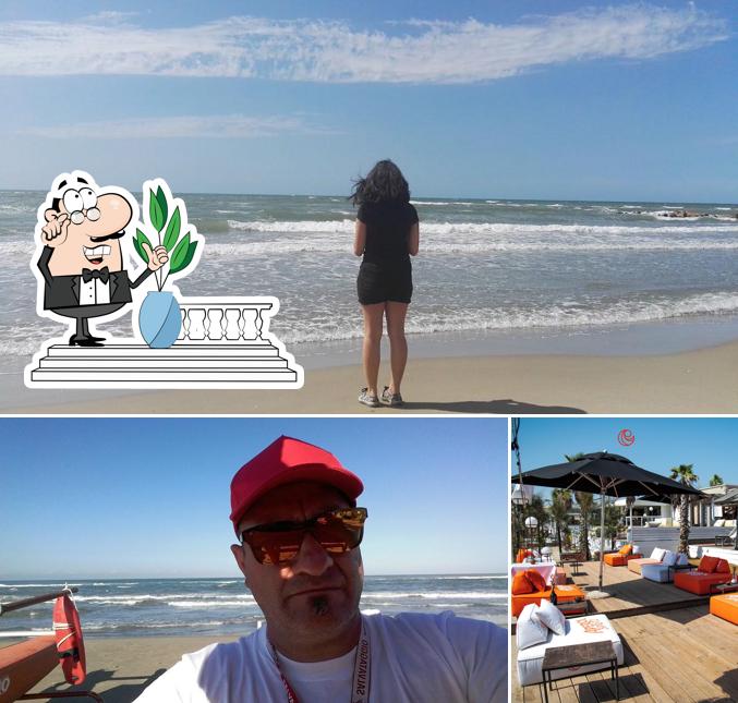 La foto di esterno e interni da Lido California