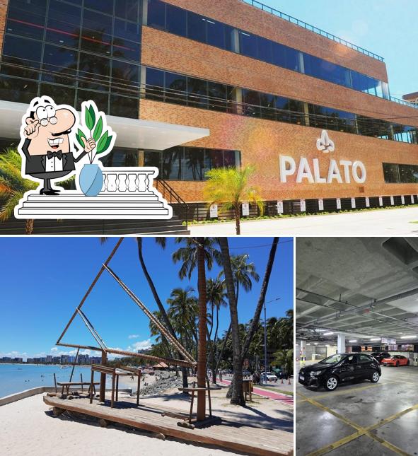 Você pode espairecer no exterior Palato Praia