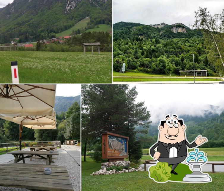 Topolino