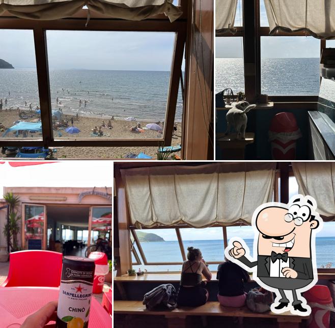 Gli interni di Ristorante Canessa