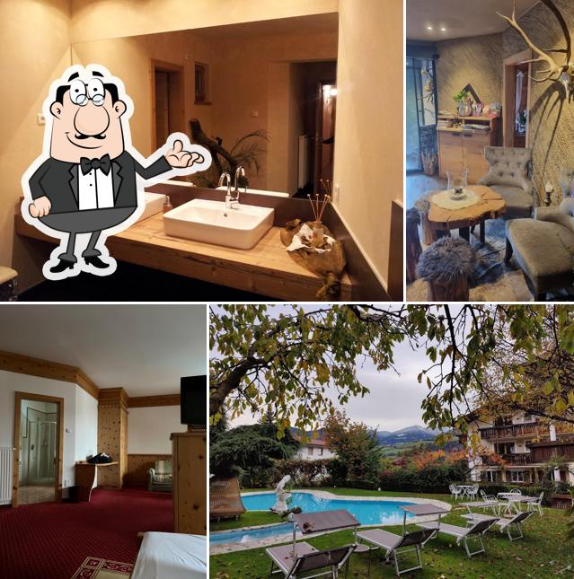 Dai un'occhiata agli interni di Hotel Sonnenhof