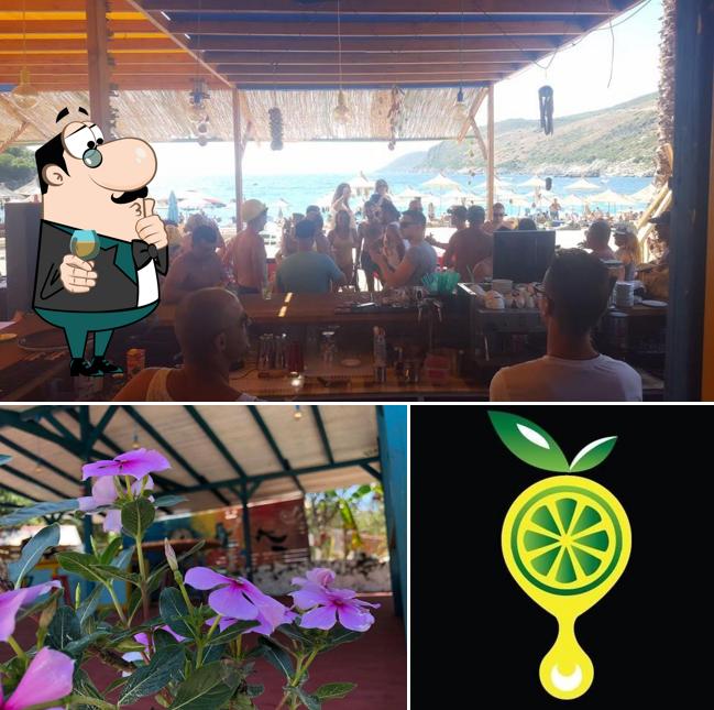 Lemon at the Beach