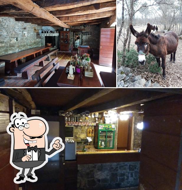 Guarda gli esterni di KONOBA KOLINASI