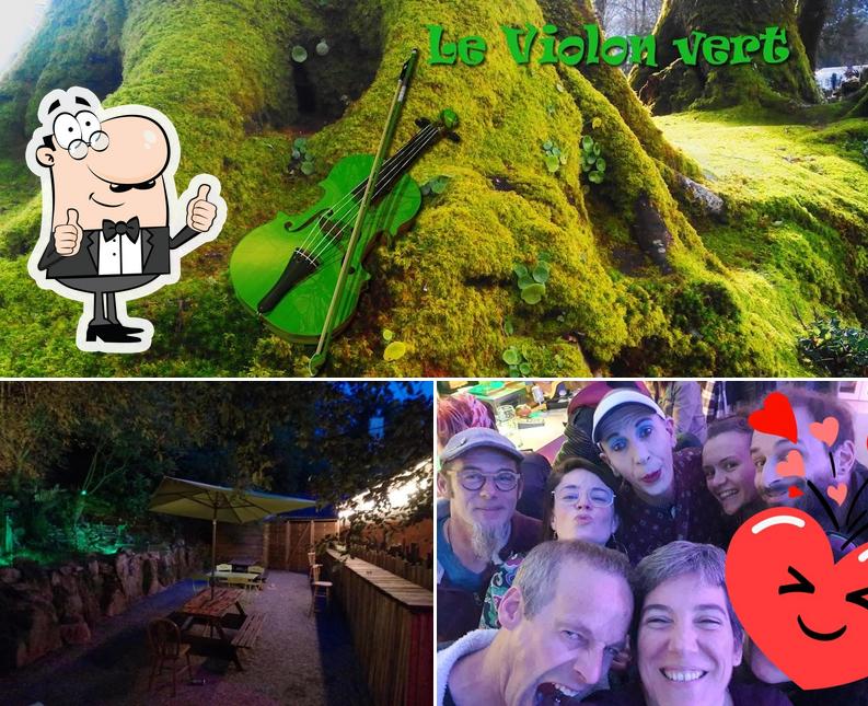 Le Violon vert