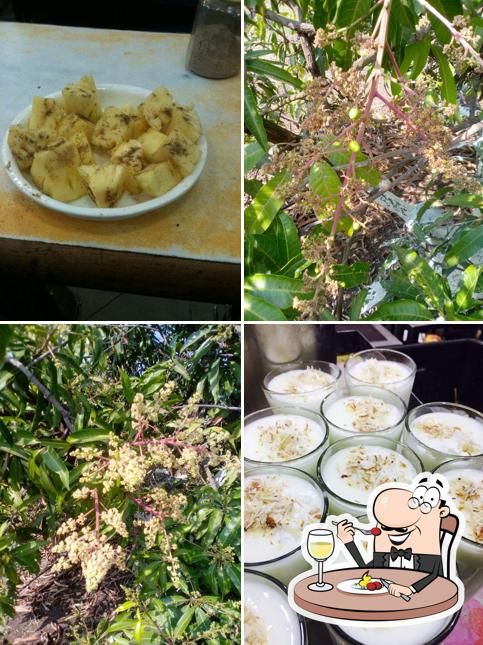 Among various things one can find food and exterior at mama juice sweets & restaurant Best Restaurant in Bhopal Best Juice in Bhopal