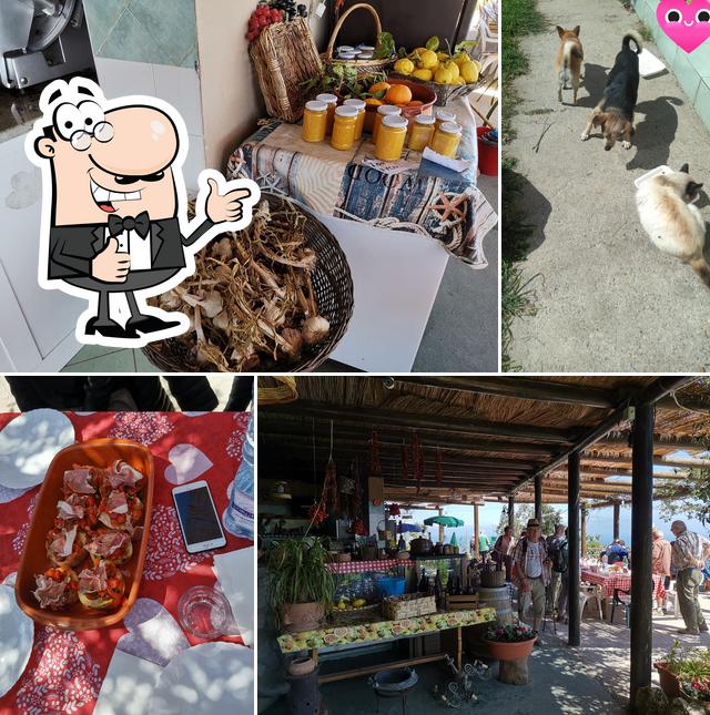 Azienda Agricola Pignatello