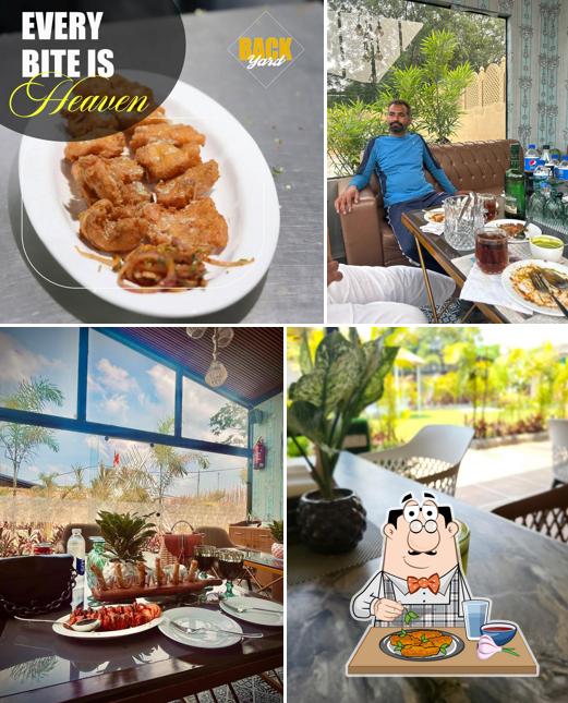 Chicken wings at The Backyard farms in jalandhar / Best Resturant in jalandhar / Delicious Food resturant in jalandhar