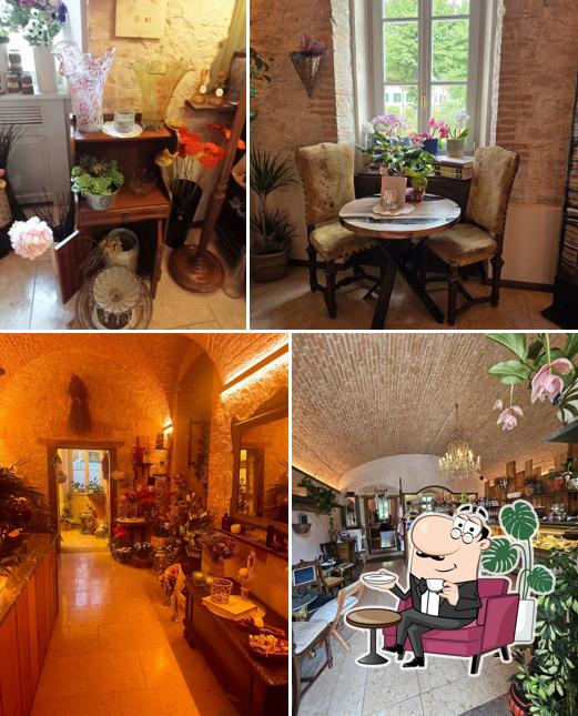 Dai un'occhiata agli interni di Floreali