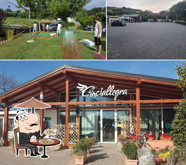 Puoi goderti l'aria fresca dal dehors di Cinciallegra