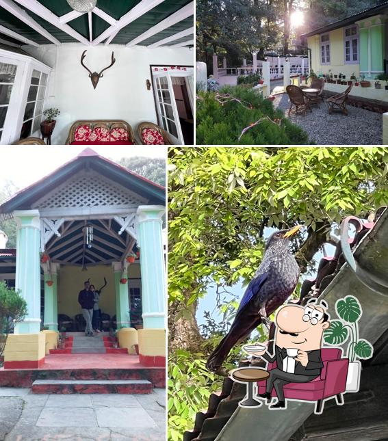 Check out how Emily Lodge and Cafe looks inside