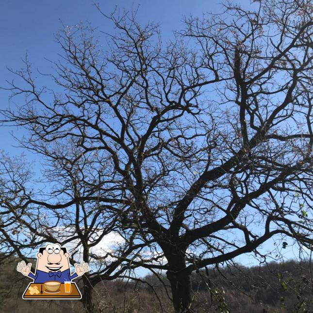 Platti al La Masseria di Ciccio