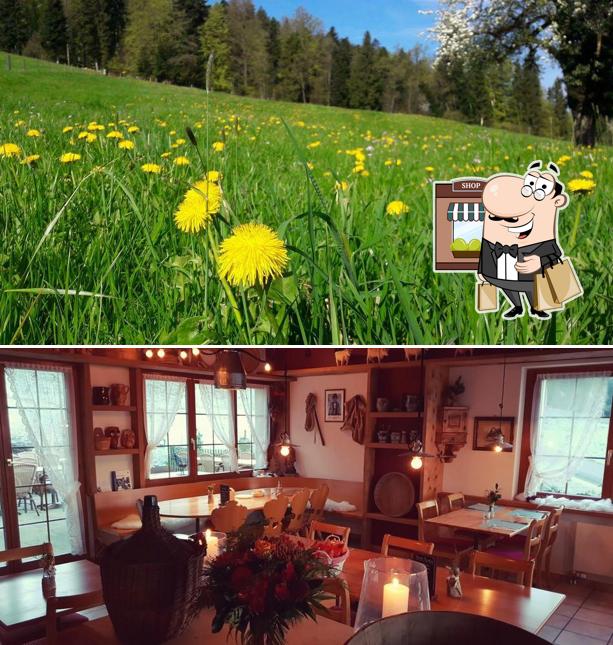 Curiosa tra l'area esterna di Burestübli