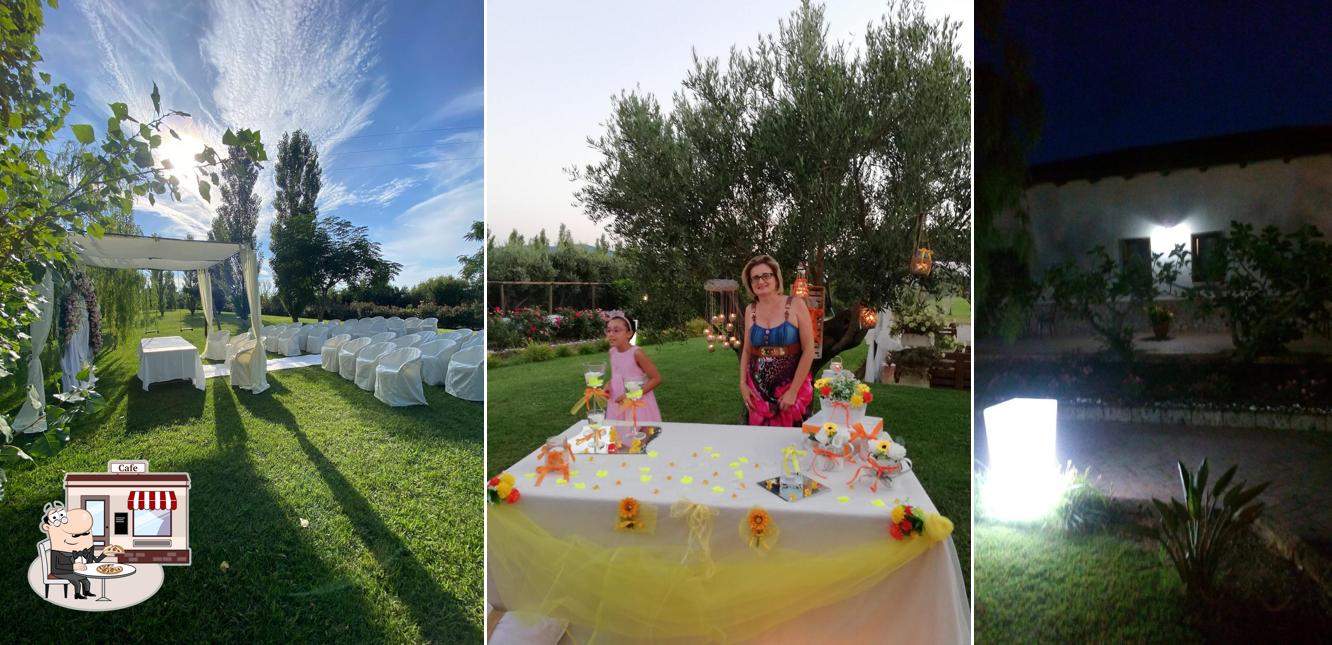 Curiosa tra la parte esterna di Azienda Agrituristica Terre di Paestum