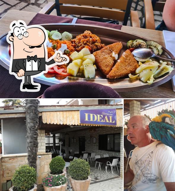 Gli interni di Ideal