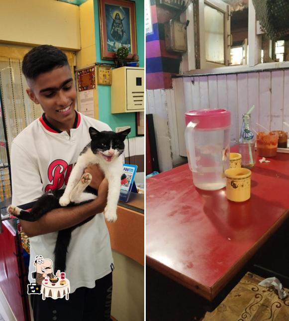 Meals at New Kalika Restaurant